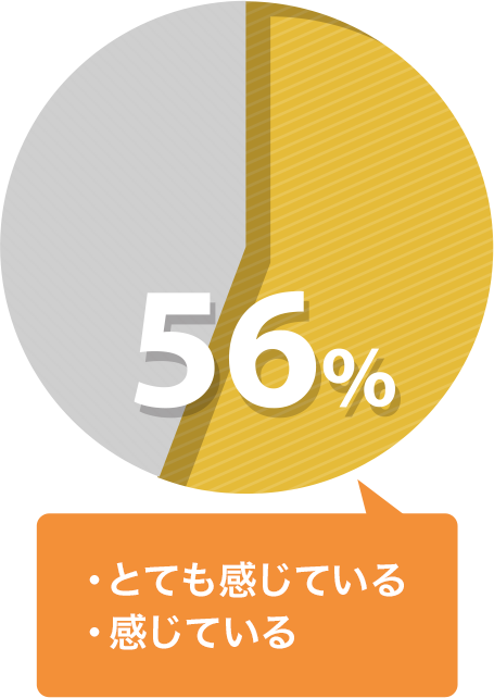 とても感じている 56%